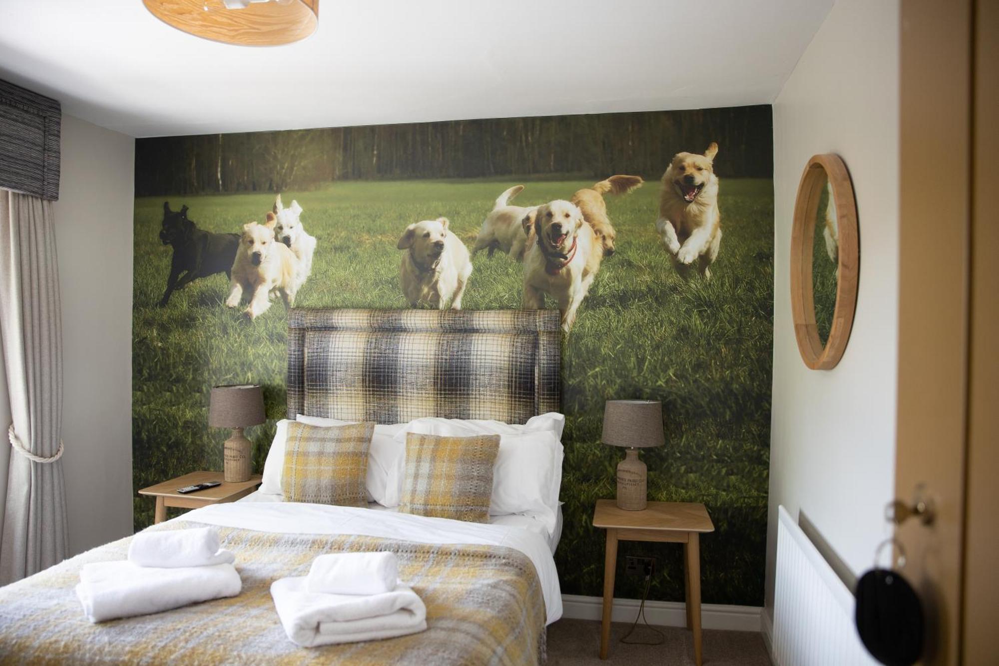 The Dog In Over Peover Knutsford Kültér fotó