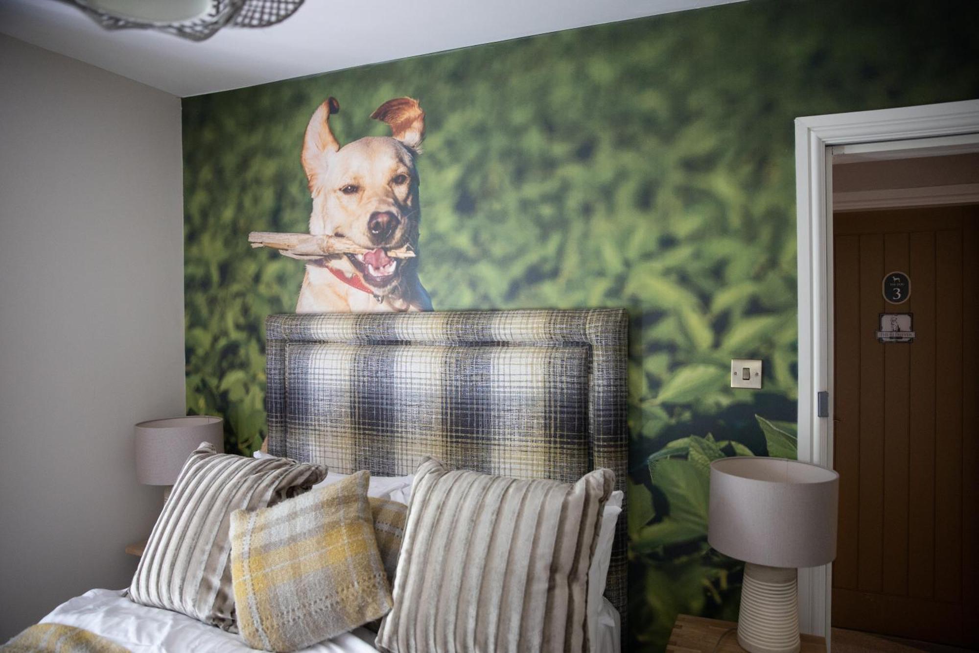 The Dog In Over Peover Knutsford Kültér fotó